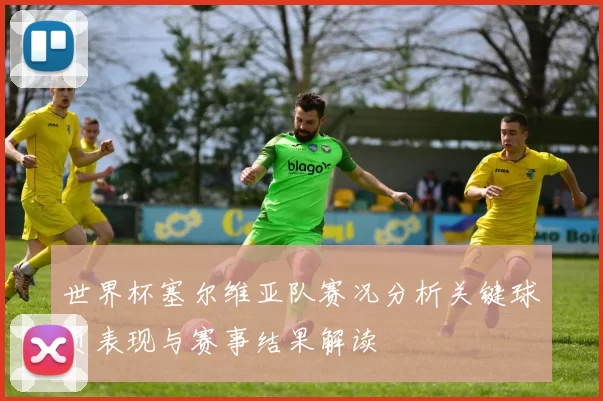 世界杯塞尔维亚队赛况分析关键球员表现与赛事结果解读
